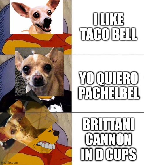 qiero pachelbel | I LIKE TACO BELL; YO QUIERO PACHELBEL; BRITTANI CANNON IN D CUPS | image tagged in best better blurst | made w/ Imgflip meme maker