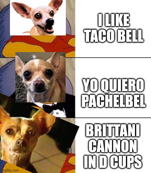 pachelbel | I LIKE TACO BELL; YO QUIERO PACHELBEL; BRITTANI CANNON IN D CUPS | image tagged in best better blurst | made w/ Imgflip meme maker