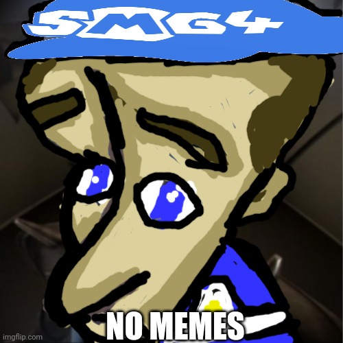 No memes | NO MEMES | image tagged in smg4 | made w/ Imgflip meme maker