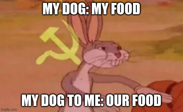 my dog | MY DOG: MY FOOD; MY DOG TO ME: OUR FOOD | image tagged in bugs bunny communist | made w/ Imgflip meme maker