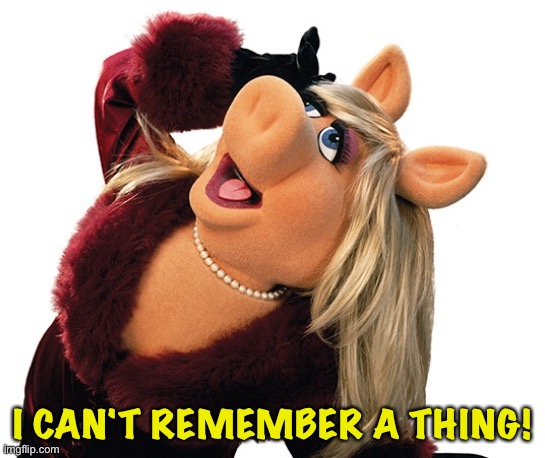 Miss Piggy - Drama Pose Large | I CAN'T REMEMBER A THING! | image tagged in miss piggy - drama pose large | made w/ Imgflip meme maker