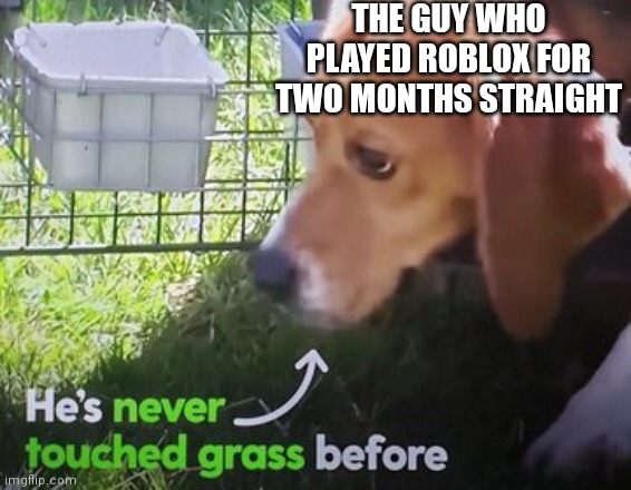 He's never touched grass before | THE GUY WHO PLAYED ROBLOX FOR TWO MONTHS STRAIGHT | image tagged in he's never touched grass before | made w/ Imgflip meme maker
