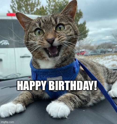 Happy Birthday | HAPPY BIRTHDAY! | image tagged in happy birthday | made w/ Imgflip meme maker