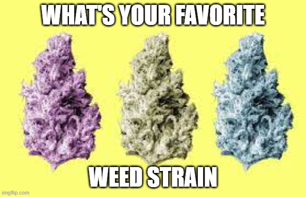 Favorite Strain | WHAT'S YOUR FAVORITE; WEED STRAIN | image tagged in weed,smoke weed everyday,smoking weed | made w/ Imgflip meme maker
