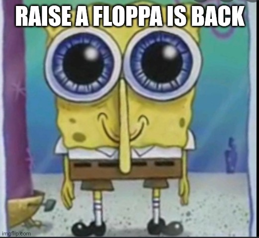 raise a floppa Memes & GIFs - Imgflip