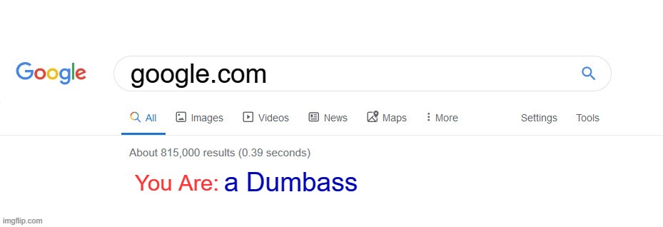 hate when people do this | _; google.com; You Are:; a Dumbass | image tagged in did you mean | made w/ Imgflip meme maker