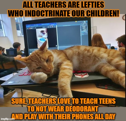 This #lolcat wonders why some think all teachers are lefties who indoctrinate children | ALL TEACHERS ARE LEFTIES
WHO INDOCTRINATE OUR CHILDREN! SURE, TEACHERS LOVE TO TEACH TEENS
TO NOT WEAR DEODORANT 
AND PLAY WITH THEIR PHONES ALL DAY | image tagged in lolcat,think about it,indoctrination,teachers,education | made w/ Imgflip meme maker
