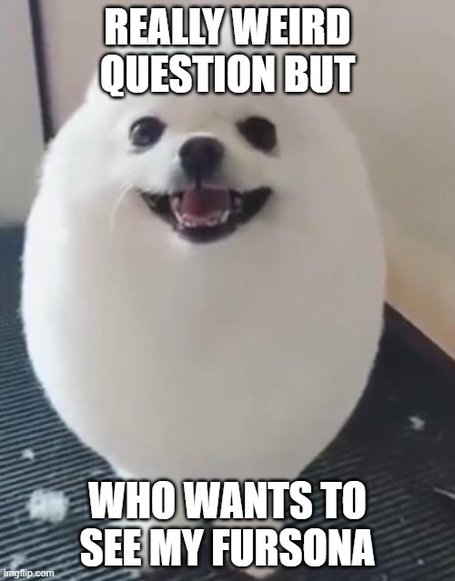 who want to see it | REALLY WEIRD QUESTION BUT; WHO WANTS TO SEE MY FURSONA | image tagged in eggdog | made w/ Imgflip meme maker