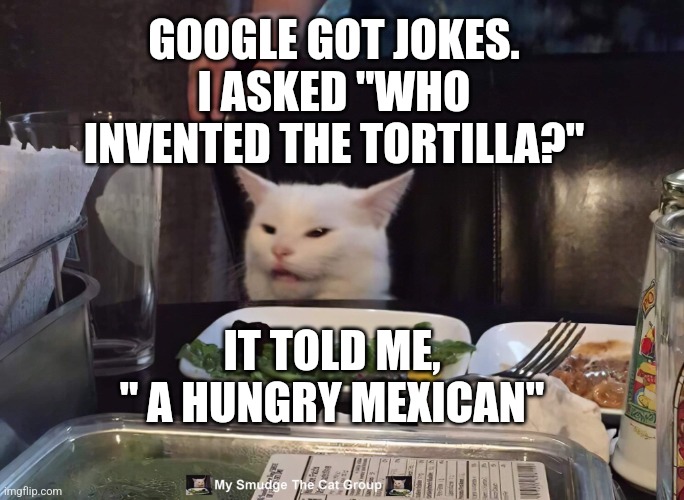 GOOGLE GOT JOKES. I ASKED "WHO INVENTED THE TORTILLA?"; IT TOLD ME, " A HUNGRY MEXICAN" | image tagged in smudge the cat | made w/ Imgflip meme maker