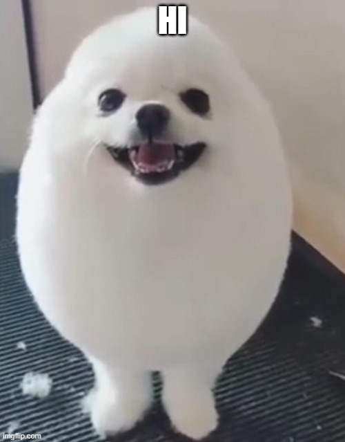 henlo | HI | image tagged in eggdog | made w/ Imgflip meme maker