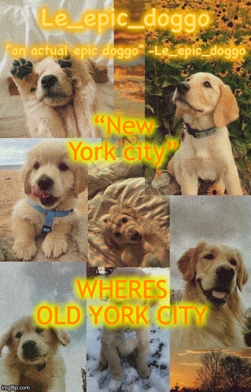 Doggo temp by doggo. Wait what that’s confusing | “New York city”; WHERES OLD YORK CITY | image tagged in doggo temp by doggo wait what that s confusing | made w/ Imgflip meme maker
