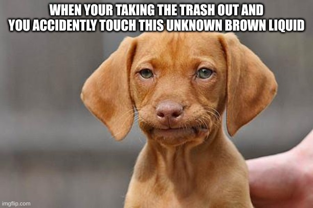 Clever title | WHEN YOUR TAKING THE TRASH OUT AND YOU ACCIDENTLY TOUCH THIS UNKNOWN BROWN LIQUID | image tagged in dissapointed puppy,oh no | made w/ Imgflip meme maker