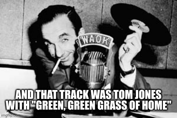 Disc Jockey | AND THAT TRACK WAS TOM JONES WITH "GREEN, GREEN GRASS OF HOME" | image tagged in disc jockey | made w/ Imgflip meme maker