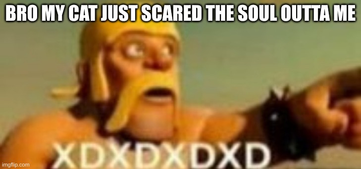 pu**y jumpscare | BRO MY CAT JUST SCARED THE SOUL OUTTA ME | made w/ Imgflip meme maker