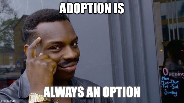 Tell this to child | ADOPTION IS; ALWAYS AN OPTION | image tagged in memes,roll safe think about it | made w/ Imgflip meme maker