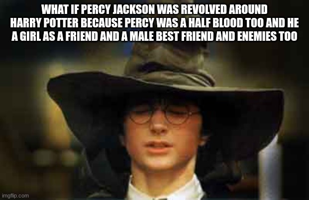 this is cool | WHAT IF PERCY JACKSON WAS REVOLVED AROUND HARRY POTTER BECAUSE PERCY WAS A HALF BLOOD TOO AND HE A GIRL AS A FRIEND AND A MALE BEST FRIEND AND ENEMIES TOO | image tagged in harry potter sorting hat | made w/ Imgflip meme maker