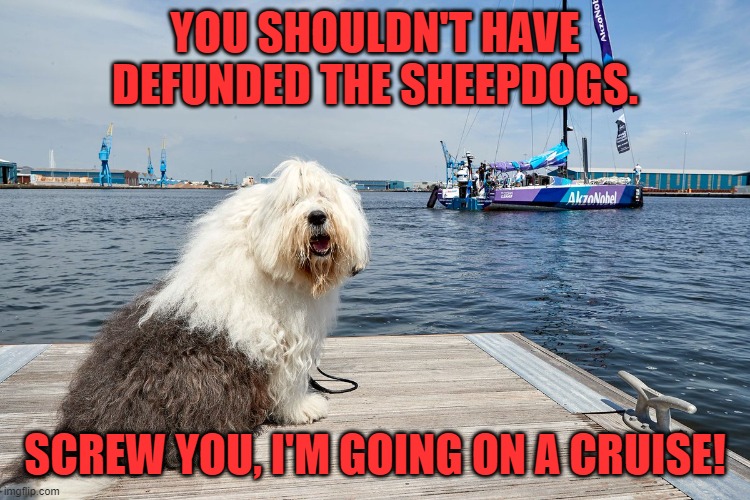 English Sheepdog | YOU SHOULDN'T HAVE DEFUNDED THE SHEEPDOGS. SCREW YOU, I'M GOING ON A CRUISE! | image tagged in english sheepdog | made w/ Imgflip meme maker