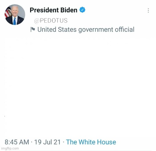 High Quality Joe Biden twitter tweet template Blank Meme Template
