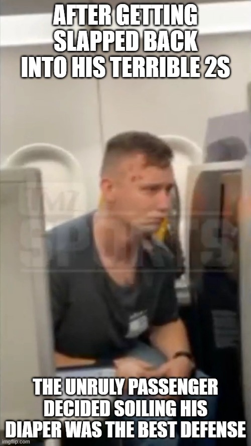  AFTER GETTING SLAPPED BACK INTO HIS TERRIBLE 2S; THE UNRULY PASSENGER DECIDED SOILING HIS DIAPER WAS THE BEST DEFENSE | image tagged in mike tyson | made w/ Imgflip meme maker