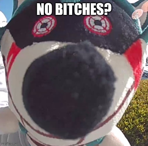 NO BITCHES? | made w/ Imgflip meme maker