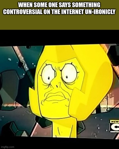 Yellow Diamond- Steven Universe-Taxes | WHEN SOME ONE SAYS SOMETHING CONTROVERSIAL ON THE INTERNET UN-IRONICLY | image tagged in yellow diamond- steven universe-taxes | made w/ Imgflip meme maker