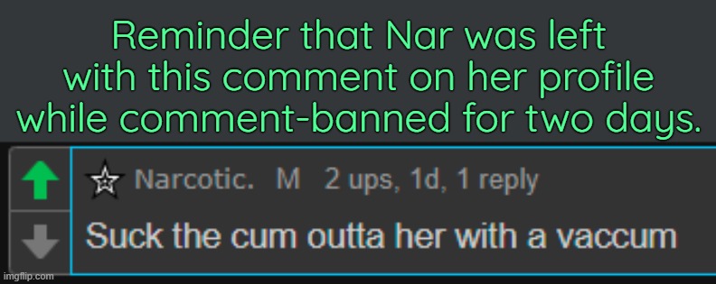 . | Reminder that Nar was left with this comment on her profile while comment-banned for two days. | made w/ Imgflip meme maker