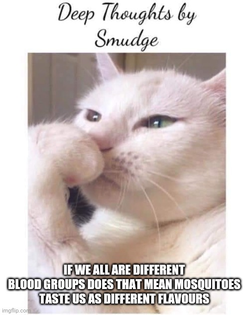 Deep-Thoughts-By-Smudge | IF WE ALL ARE DIFFERENT BLOOD GROUPS DOES THAT MEAN MOSQUITOES TASTE US AS DIFFERENT FLAVOURS | image tagged in deep-thoughts-by-smudge | made w/ Imgflip meme maker