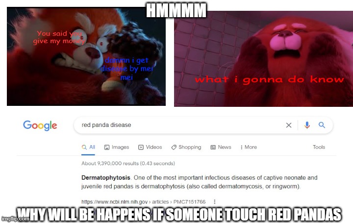 Turning Disease | HMMMM; WHY WILL BE HAPPENS IF SOMEONE TOUCH RED PANDAS | image tagged in memes,turning red | made w/ Imgflip meme maker