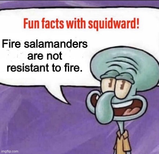 Guess where I learned that | Fire salamanders are not resistant to fire. | image tagged in fun facts with squidward | made w/ Imgflip meme maker