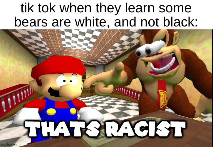 DK says that's racist | tik tok when they learn some bears are white, and not black: | image tagged in dk says that's racist | made w/ Imgflip meme maker