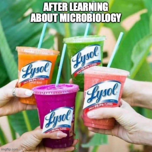 Lysol Smoothie | AFTER LEARNING ABOUT MICROBIOLOGY | image tagged in lysol smoothie | made w/ Imgflip meme maker