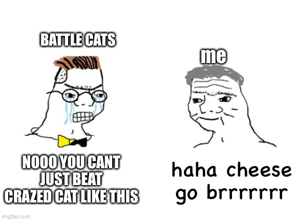 took 75 minutes, but was worth it | BATTLE CATS; me; NOOO YOU CANT JUST BEAT CRAZED CAT LIKE THIS; haha cheese go brrrrrrr | image tagged in noooo you can't just | made w/ Imgflip meme maker