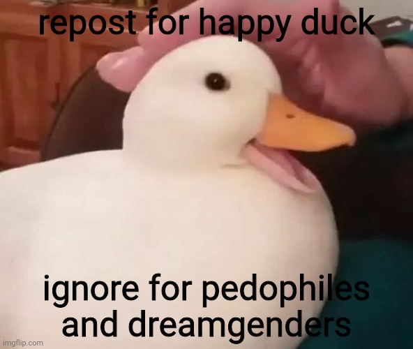 ducc | repost for happy duck; ignore for pedophiles and dreamgenders | image tagged in ducc | made w/ Imgflip meme maker