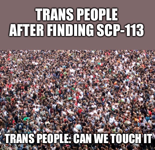 Trans people after finding scp 113 | TRANS PEOPLE AFTER FINDING SCP-113; TRANS PEOPLE: CAN WE TOUCH IT | image tagged in crowd of people,transgender,scp meme | made w/ Imgflip meme maker