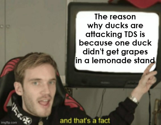 and that's a fact | The reason why ducks are attacking TDS is because one duck didn't get grapes in a lemonade stand | image tagged in and that's a fact | made w/ Imgflip meme maker