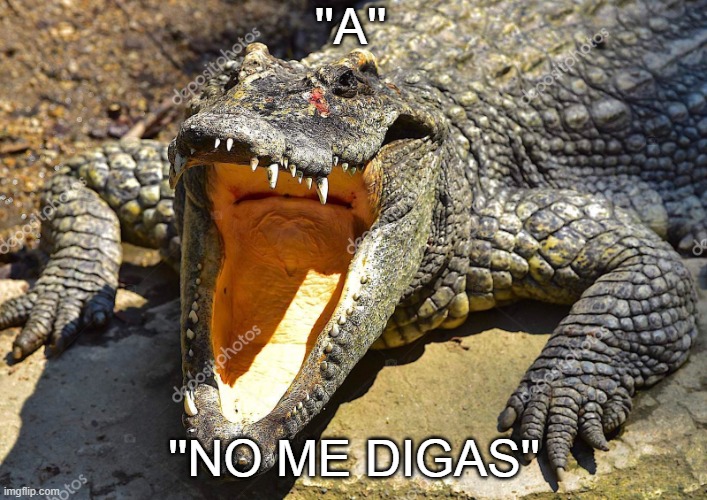 ''No me digas'' | ''A''; ''NO ME DIGAS'' | image tagged in crocodile | made w/ Imgflip meme maker