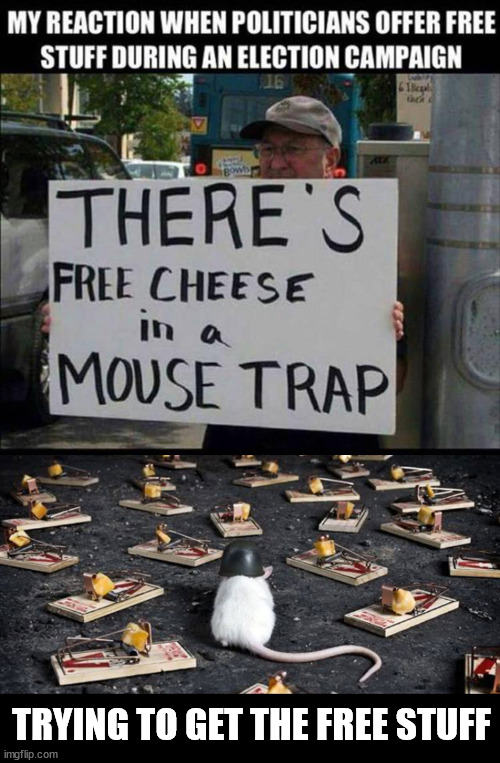 TRYING TO GET THE FREE STUFF | image tagged in mine minefield trap cheese mouse,political meme | made w/ Imgflip meme maker