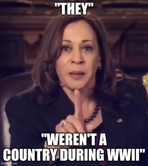 "THEY"; "WEREN'T A COUNTRY DURING WWII" | made w/ Imgflip meme maker