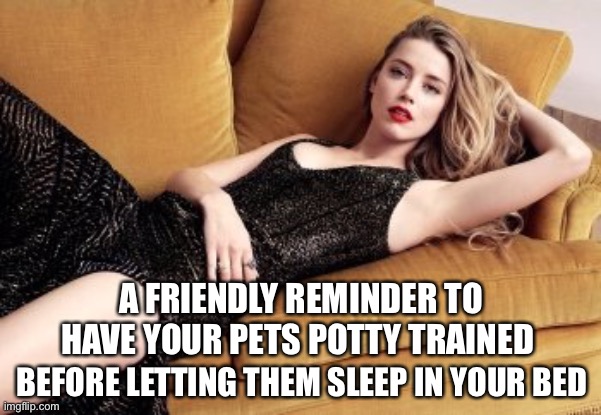 What a shitty thing to do… |  A FRIENDLY REMINDER TO HAVE YOUR PETS POTTY TRAINED; BEFORE LETTING THEM SLEEP IN YOUR BED | image tagged in doggy,doo,poo poo,amber heard | made w/ Imgflip meme maker