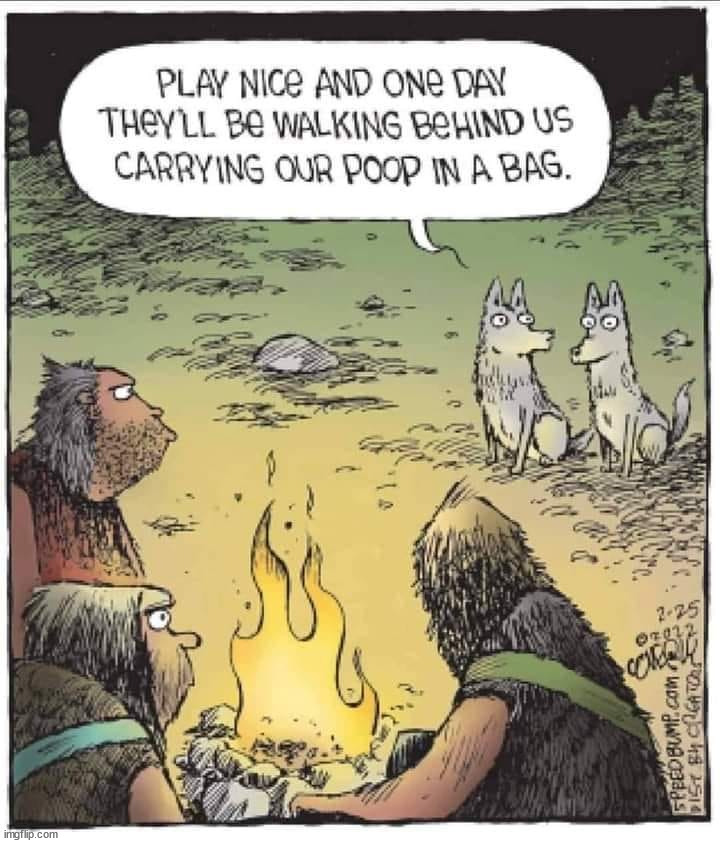 image tagged in comics/cartoons | made w/ Imgflip meme maker