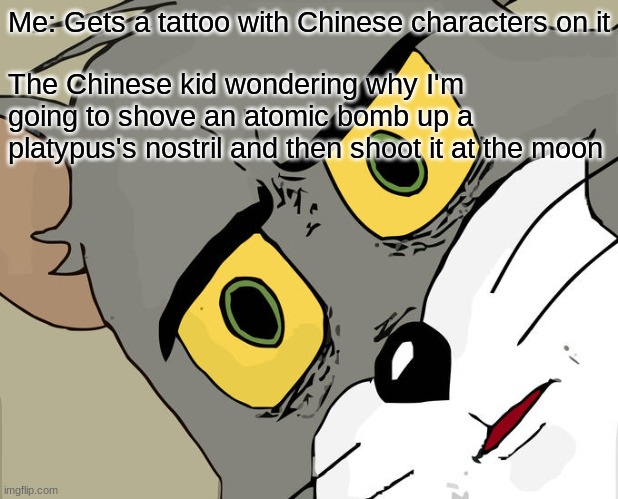 Oh No | Me: Gets a tattoo with Chinese characters on it; The Chinese kid wondering why I'm going to shove an atomic bomb up a platypus's nostril and then shoot it at the moon | image tagged in memes,unsettled tom | made w/ Imgflip meme maker