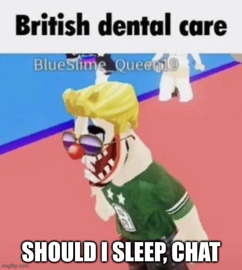 British dental care | SHOULD I SLEEP, CHAT | image tagged in british dental care | made w/ Imgflip meme maker