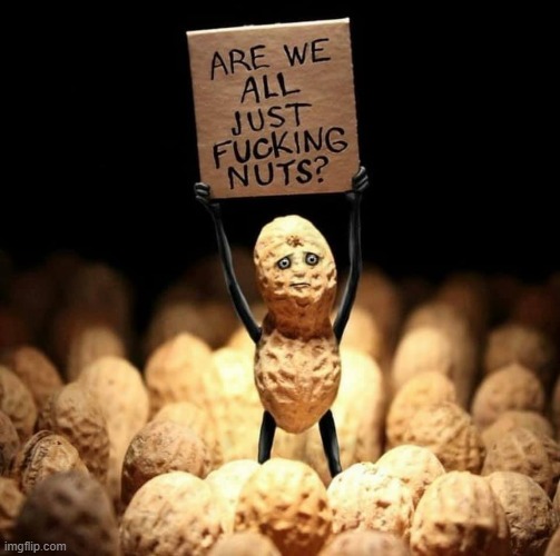 nuts | image tagged in nuts | made w/ Imgflip meme maker
