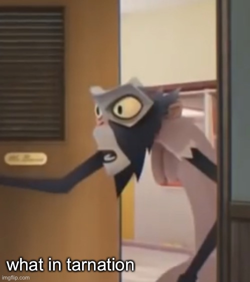 E | what in tarnation | image tagged in tawog meme | made w/ Imgflip meme maker