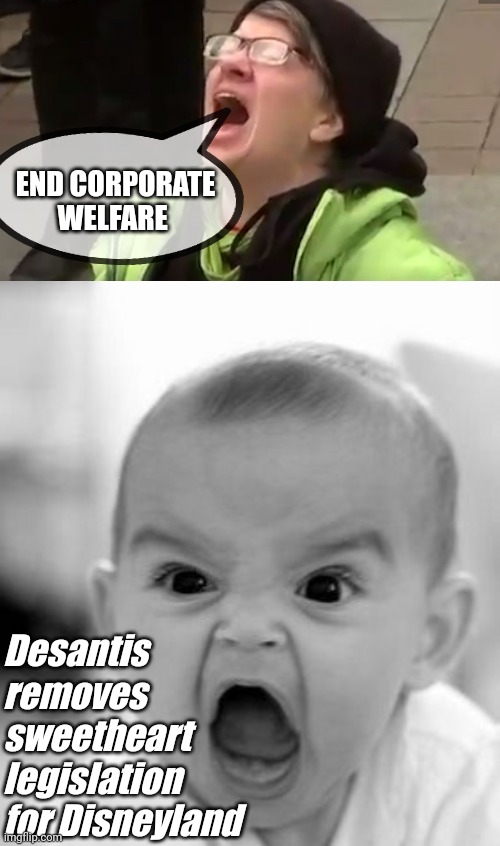 Face it, liberalism is theft disguised as compassion |  END CORPORATE WELFARE; Desantis removes sweetheart legislation for Disneyland | image tagged in screaming liberal,memes,angry baby,corporate welfare,disneyland | made w/ Imgflip meme maker