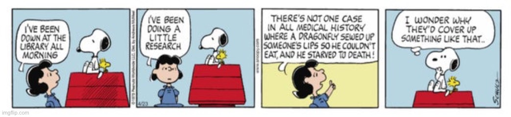 Daily Peanuts Comic Strip #5 | image tagged in comics,peanuts,snoopy,lucy,funny,classics | made w/ Imgflip meme maker