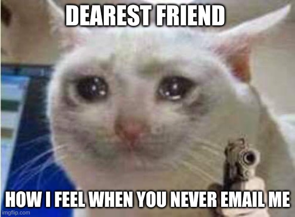 Sad cat with gun | DEAREST FRIEND; HOW I FEEL WHEN YOU NEVER EMAIL ME | image tagged in sad cat with gun | made w/ Imgflip meme maker