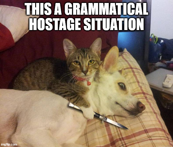 Grammatical Hostage Situation | THIS A GRAMMATICAL HOSTAGE SITUATION | image tagged in dog hostage | made w/ Imgflip meme maker