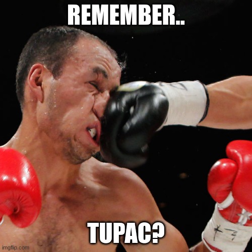 Boxer Getting Punched In The Face | REMEMBER.. TUPAC? | image tagged in boxer getting punched in the face | made w/ Imgflip meme maker