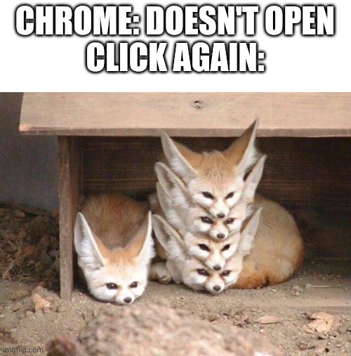 fennec stack | CHROME: DOESN'T OPEN
CLICK AGAIN: | image tagged in fennec stack,cute foxes,firefox,chrome | made w/ Imgflip meme maker